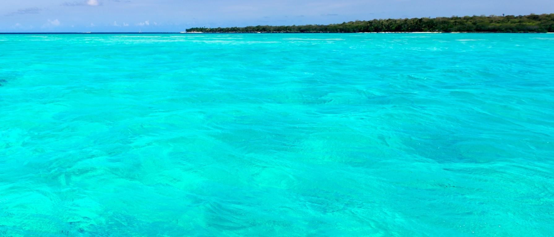 Nueva York y Riviera Maya